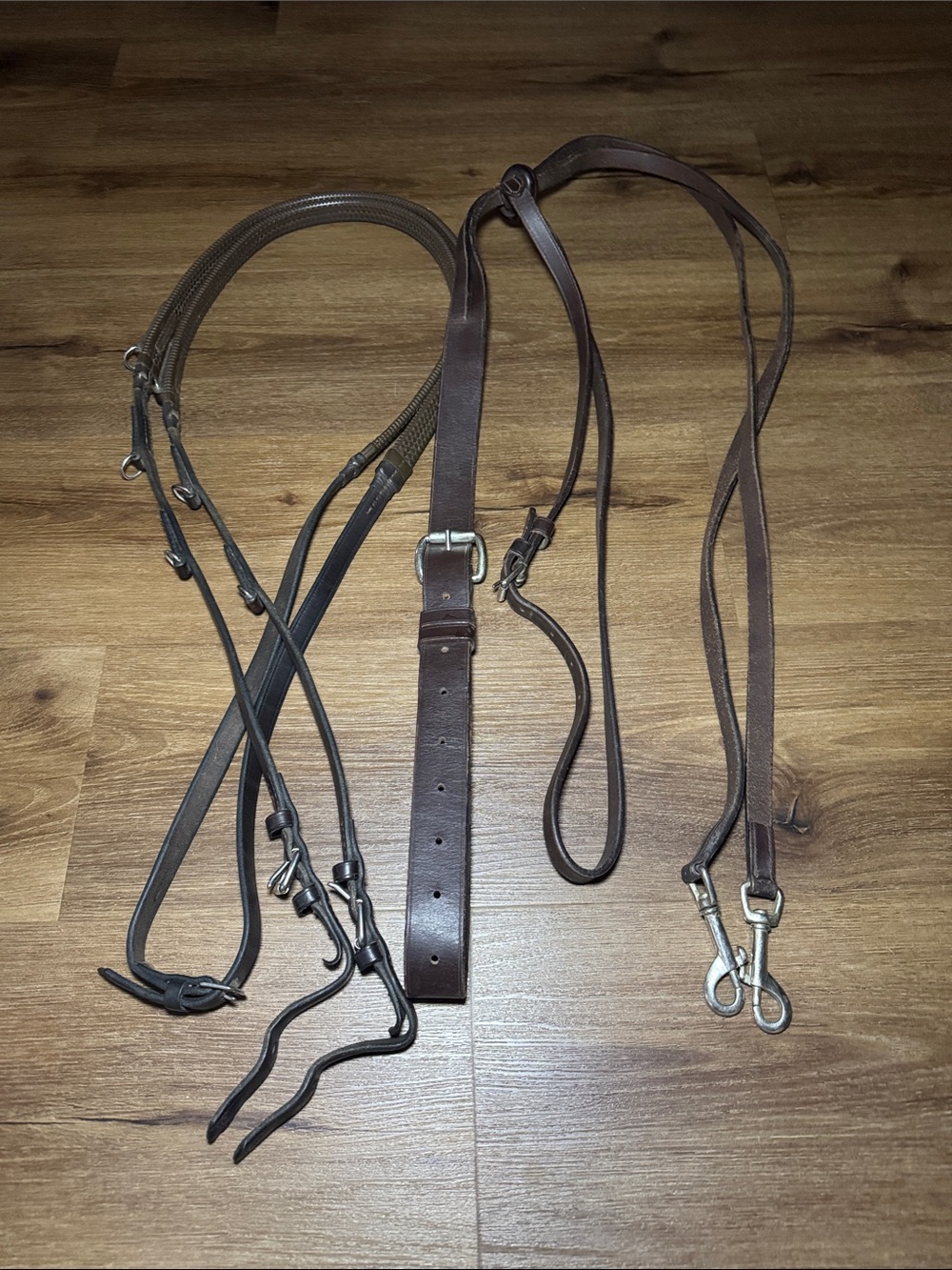 🐴 German Martingale w/Rubber Reins. Full size. 🐴